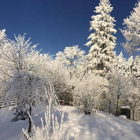크리니차 즈드로이 Bukowy Zdroj 빌라 외부 사진